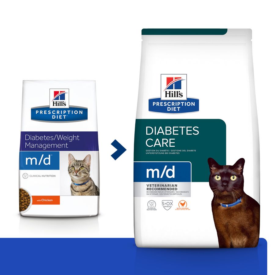 Caring for a cat with clearance diabetes