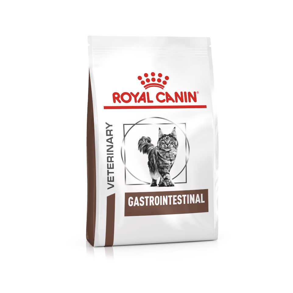 Gastrointestinal dry 2025 cat food