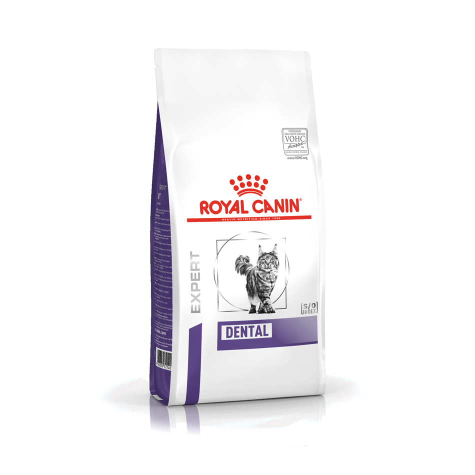 ROYAL CANIN Dental Adult Dry Cat Food Vet Pet IE