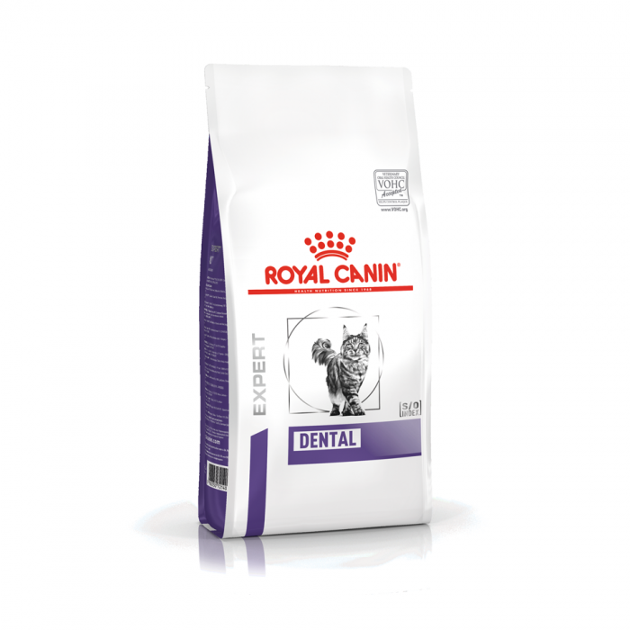 Royal canin oral care dry deals cat food