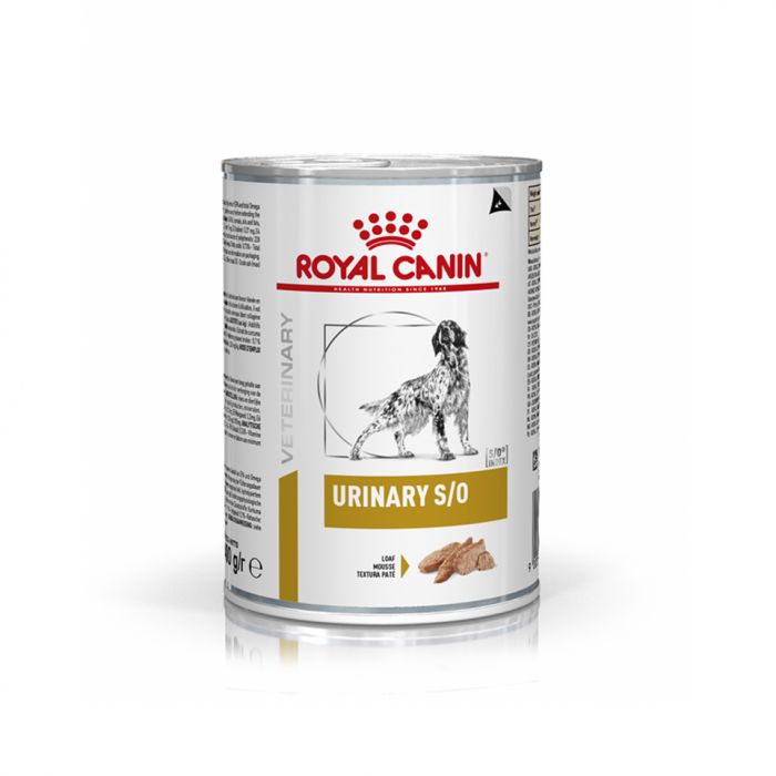 Royal discount canin bladder