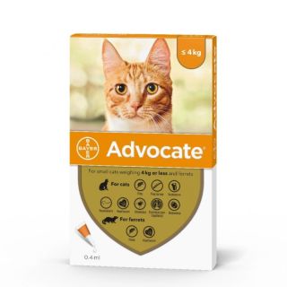 Advocate 40 mg + 4 mg Spot-on Solution for Small Cats and Ferrets 1x6