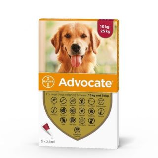 Advocate 250 mg + 62.5 mg Spot-on Solution for Large Dogs 10-25kg 1x21