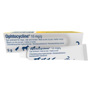 Ophtocycline 10 mg/g Eye Ointment for Dogs Cats and Horses 5gm
