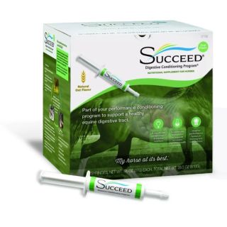 Succeed Paste 1x30 Syringes