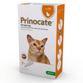 Prinocate 40 mg/4 mg Spot-on Solution for Small Cats and Ferrets 1x3