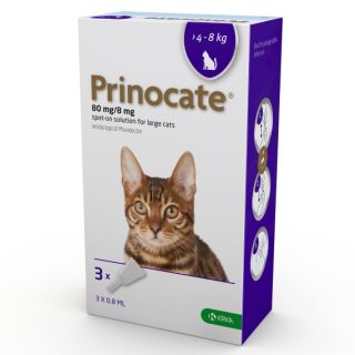 Prinocate 80 mg/8 mg Spot-on Solution for Large Cats 1x3