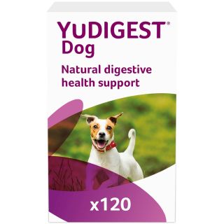 Lintbells YuMOVE Digestive Care Tablets For Dogs 1x120