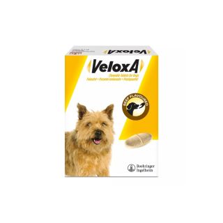Veloxa Chewable Worming Tablets for Dogs - Single