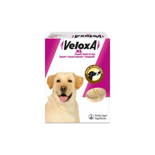 Veloxa XL Chewable Worming Tablets for Dogs - Single