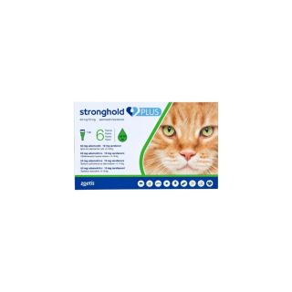 Stronghold Plus 60 mg/10 mg Spot-on Solution for Cats >5 – 10 kg 1x6