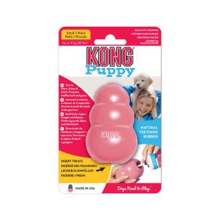 Kong Puppy Small Dog KP3E