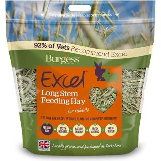 Burgess Long Stem Hay 1kg