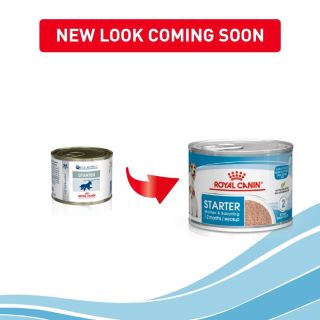 Royal Canin Starter Mousse Wet Food 12x195gm