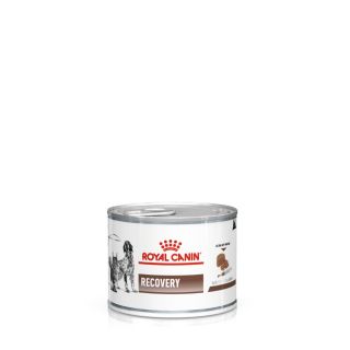 Royal Canin Recovery Adult Wet Dog & Cat Food 12x195gm