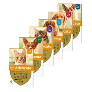 Advocate Spot-On Solution for Cats and Dogs
