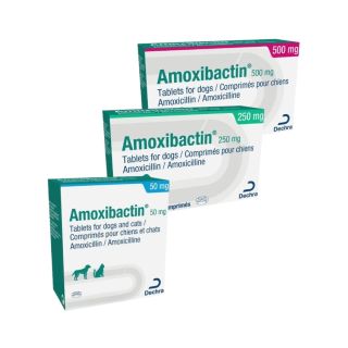 Amoxibactin Tablets for Dogs and Cats