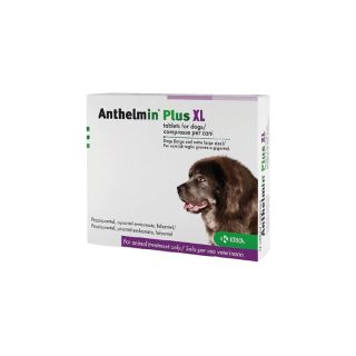 Anthelmin Plus XL Tablets for Dogs