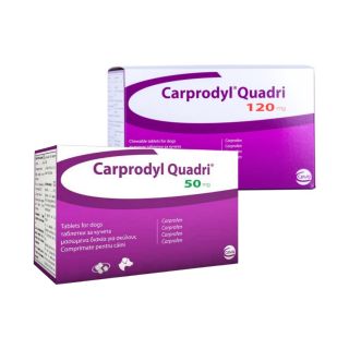 Carprodyl Quadri Chewable Tablets for Dogs