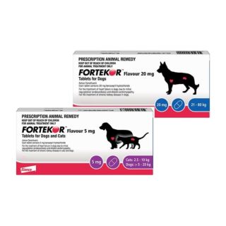 Fortekor Flavour Tablets for Cats and Dogs