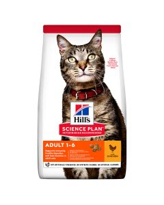 Hills Science Plan Feline Adult Chicken 15kg 604063