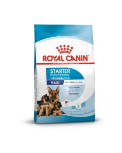 Royal Canin Maxi Starter Dry Food 15kg