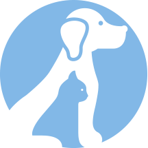 Hills Science Plan Canine Healthy Weight Treats 6x200gm 608558