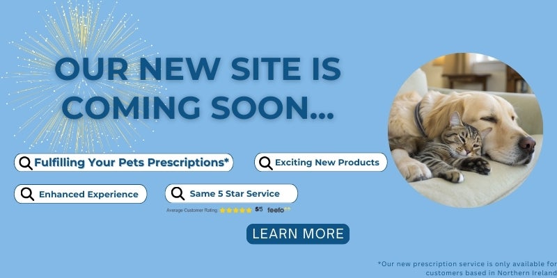 New Site Information Page